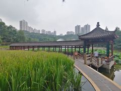 -龙头寺公园