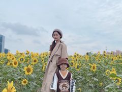 -映月湖中央公园