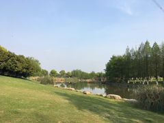 -九里河湿地公园