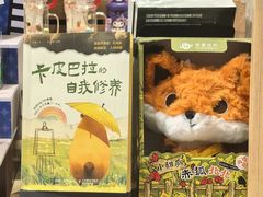 -铁像寺水街