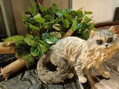 -湘当爱·鲜煮现炒(松岗立业路店)