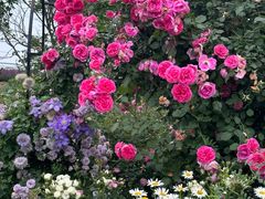 -祥源·阜阳生态乐园