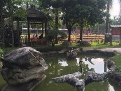 -揭东万竹园旅游景区