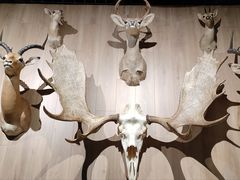 -陕西自然博物馆