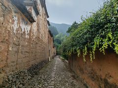 -杨家堂村