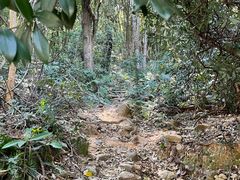 -梧桐山风景名胜区