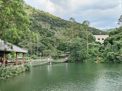 景点-紫云谷景区