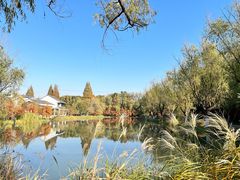 -昆山城市生态森林公园