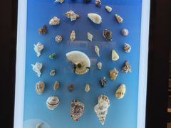 -浙江自然博物院(杭州馆)