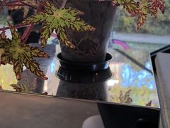 -一尺花园(首钢店)