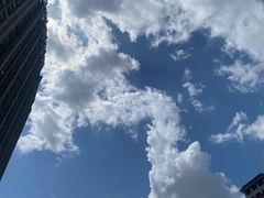 -老牌坊鲁菜名店(宽厚里店)