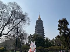 -红梅公园