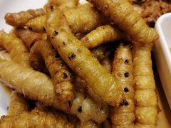 -老江南春·中国龙菜(衡山路店)