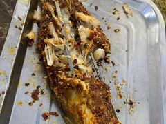 -清真·马峰烤肉(小学习北巷店)