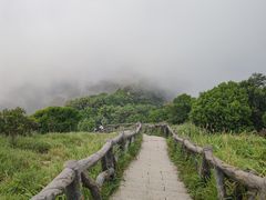 -梧桐山风景名胜区