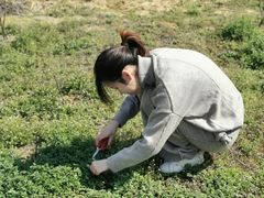 -湖南生物机电职业技术学院(东湖校区)