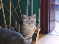 -觅时光手作·香薰·拼豆豆·陶艺DIY