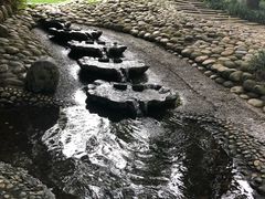 -成都市活水公园