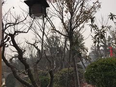 -郑州银基黄帝宫御温泉