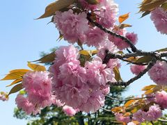-鹤冈八幡宫