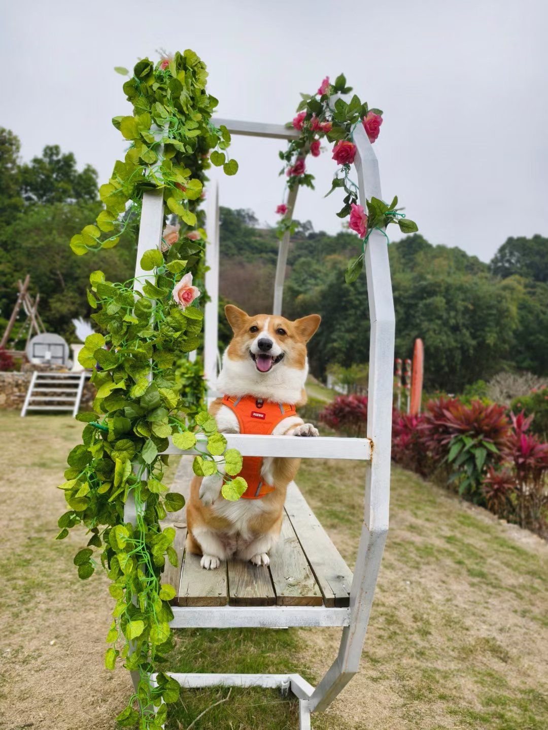 春日吃喝记 最可爱的豆花花!