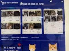-美联众合动物医院·24h转诊中心