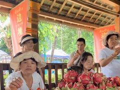 -西双版纳傣族园