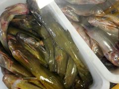 -畲乡一品鱼府土菜馆