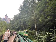 -印象鲵宴·张家界地标美食名片(溪布街店)