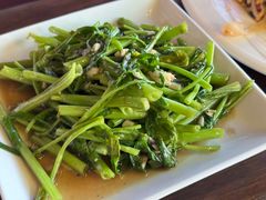 -Green Tree Rest. & Pub