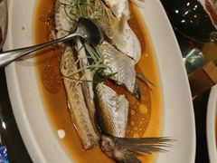 翘嘴鲌鱼-丹江渔村(望京店)