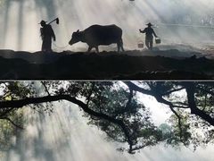 -北岐滩涂