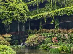 -中国茶叶博物馆(双峰馆区)
