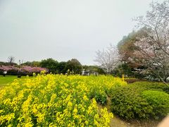 -石湖景区