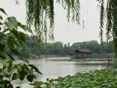 -上海市保健医疗中心