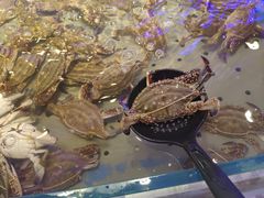 -澜悦港海鲜体验主题餐厅