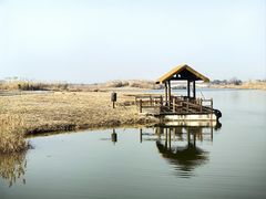 -宁波杭州湾国家湿地公园