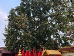 -西双版纳总佛寺