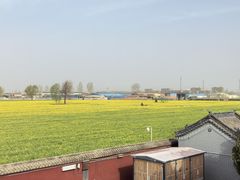 -汤阴县羑里周易博物馆