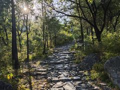 -阳台山自然风景区