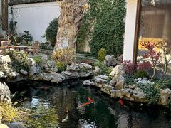 -鲤院·新中式美学·庭院餐厅(夫子庙店)
