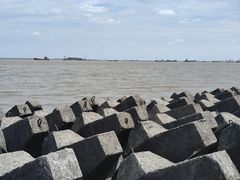 -上海滨江森林公园