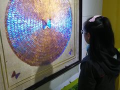 -上海昆虫博物馆