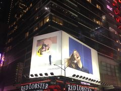 -RED LOBSTER(中城西店)