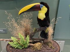 -国家自然博物馆