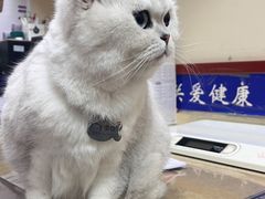 -艾贝尔宠物医院·狂犬免疫点(江山金象城店)