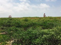 -北海金海湾红树林生态旅游区