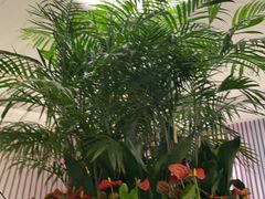 -LANN I 蘭 SPA(陆家嘴中心店)
