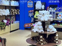 -湘江欢乐城欢乐雪域