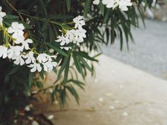 -上海美帆帆船露营基地
